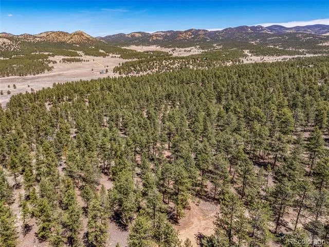 185 Sioux Trail Westcliffe, CO 81252
