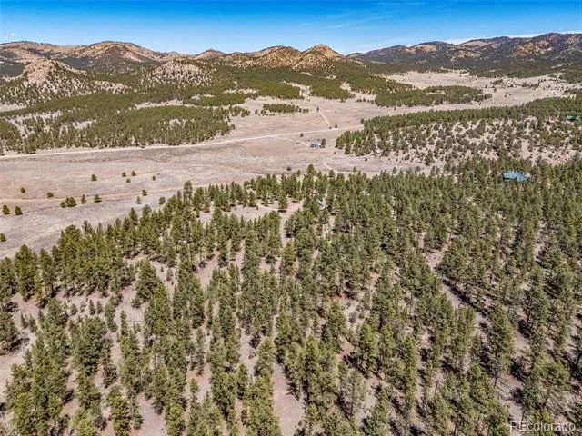 185 Sioux Trail Westcliffe, CO 81252