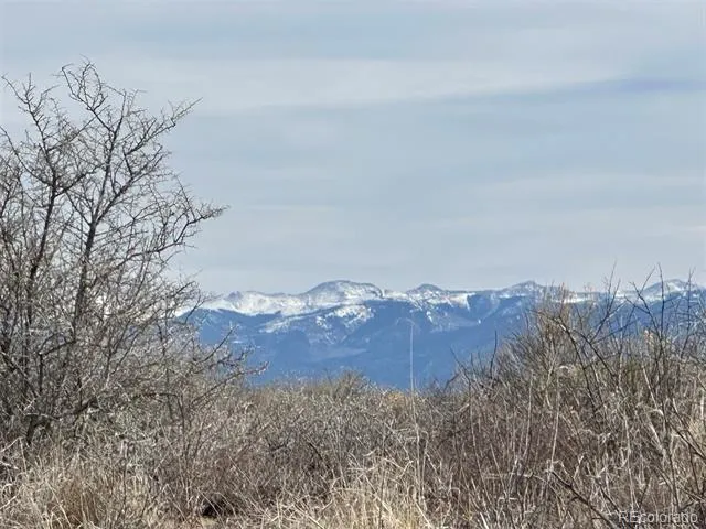 00 Palamino Avenue Alamosa, CO 81101