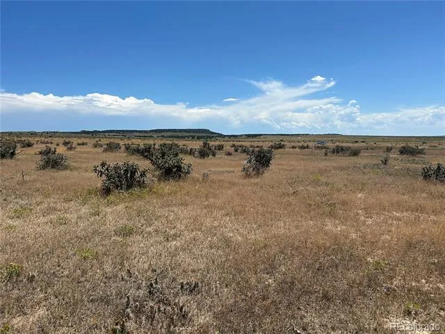Lot 4 Outback Ranch Model, CO 81059