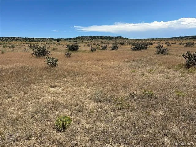Lot 4 Outback Ranch Model, CO 81059