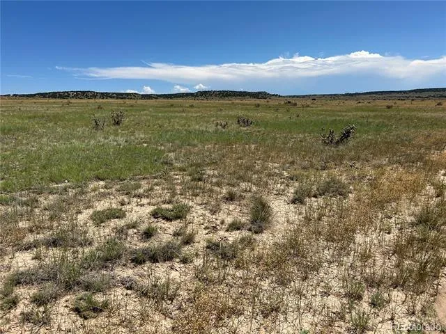 Lot 4 Outback Ranch Model, CO 81059