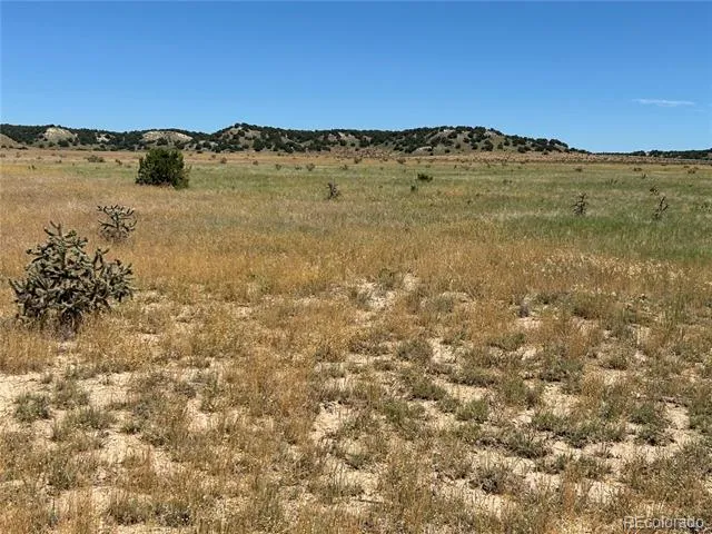 Lot 4 Outback Ranch Model, CO 81059