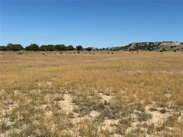 Lot 4 Outback Ranch Model, CO 81059