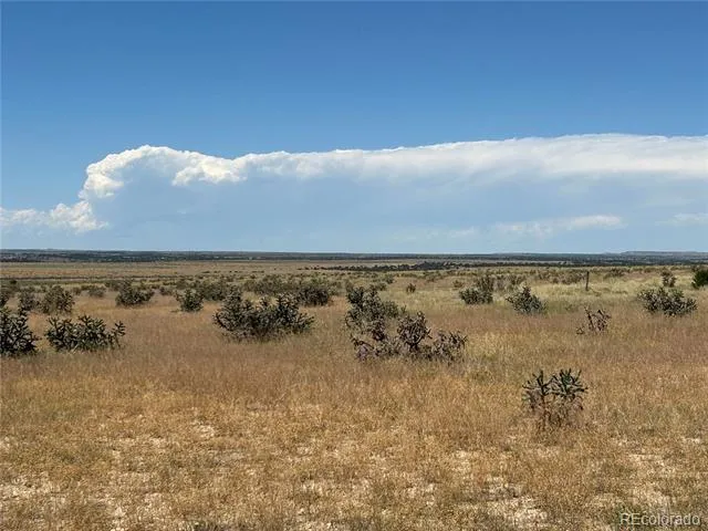 Lot 4 Outback Ranch Model, CO 81059