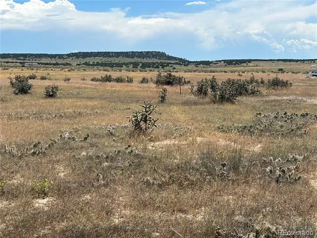 Lot 4 Outback Ranch Model, CO 81059