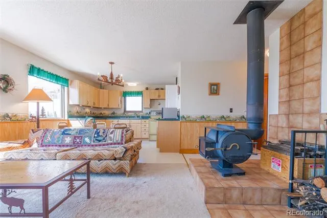234 Deadman Gulch Lane Jefferson, CO 80456
