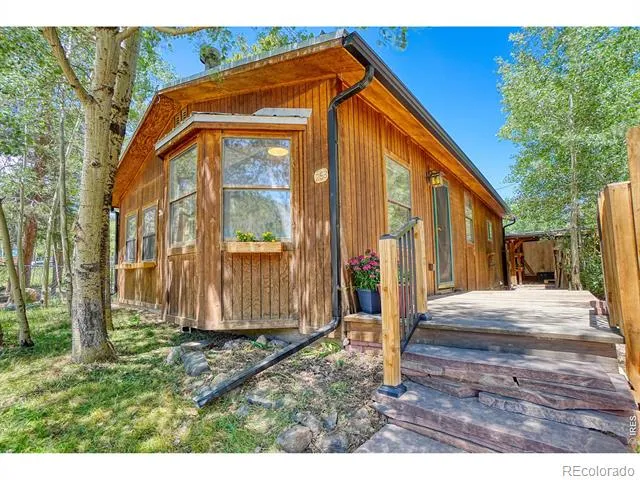 253 W Breed Street Nederland, CO 80466