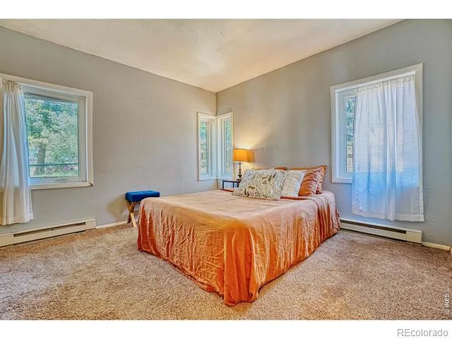 253 W Breed Street Nederland, CO 80466