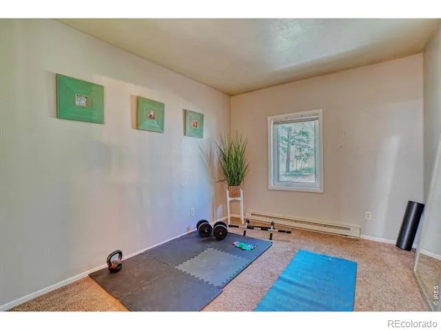 253 W Breed Street Nederland, CO 80466