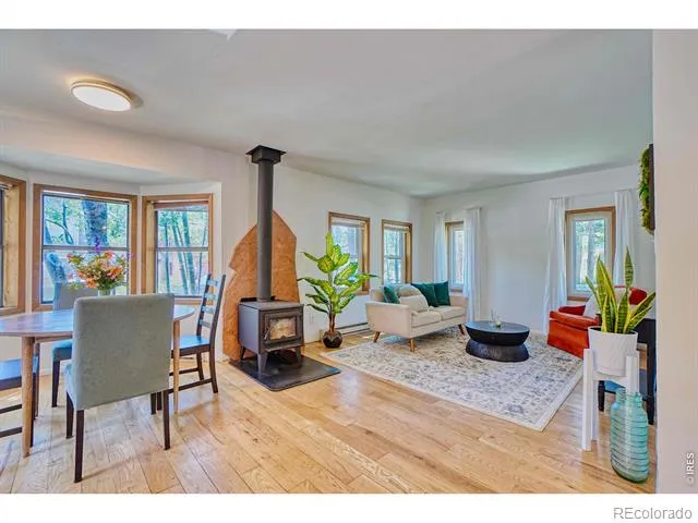 253 W Breed Street Nederland, CO 80466