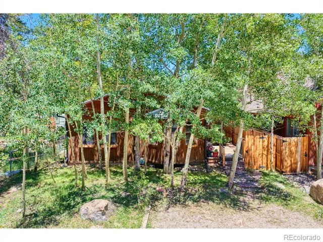253 W Breed Street Nederland, CO 80466
