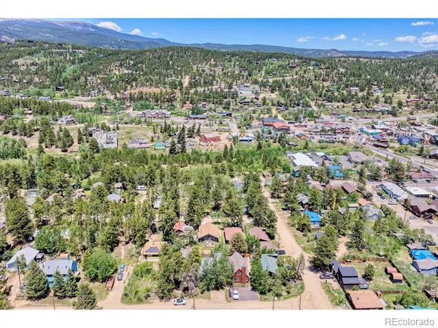 253 W Breed Street Nederland, CO 80466