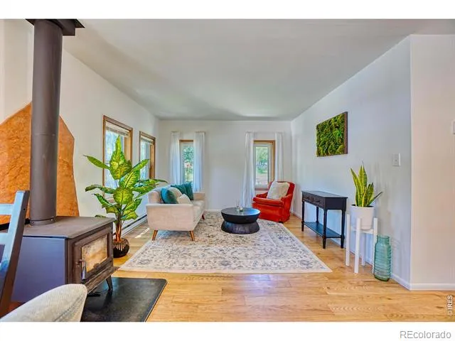 253 W Breed Street Nederland, CO 80466