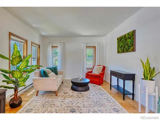 253 W Breed Street Nederland, CO 80466