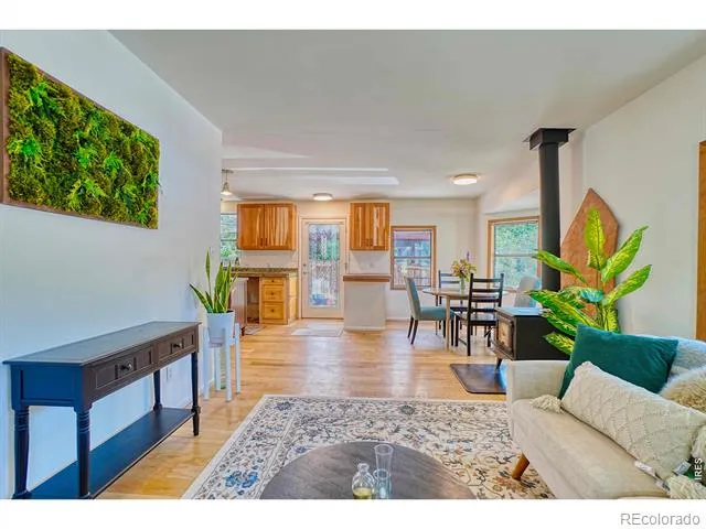 253 W Breed Street Nederland, CO 80466
