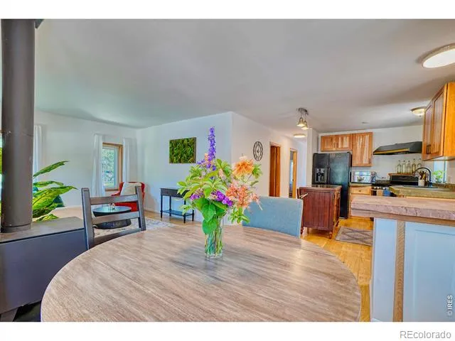 253 W Breed Street Nederland, CO 80466