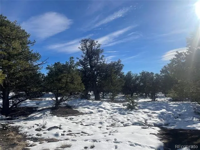 1195 Hilltop Way Crestone, CO 81131
