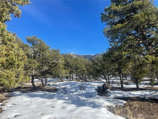 1195 Hilltop Way Crestone, CO 81131