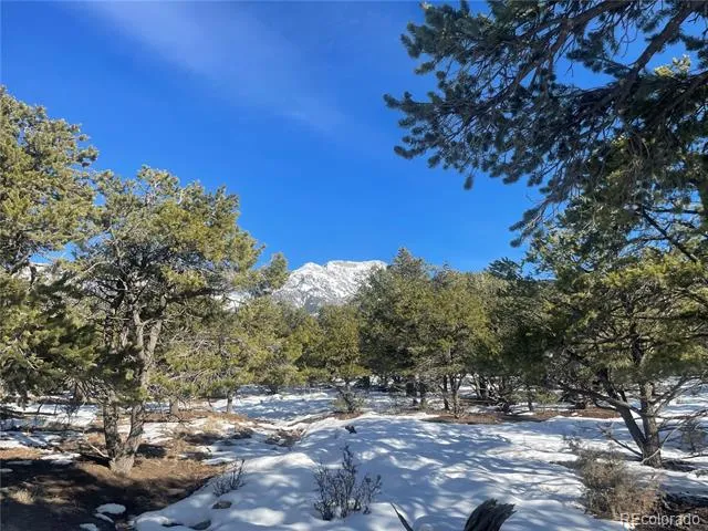 1195 Hilltop Way Crestone, CO 81131