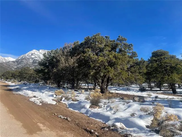 1195 Hilltop Way Crestone, CO 81131