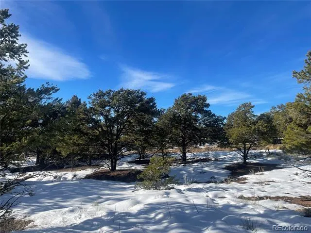 1195 Hilltop Way Crestone, CO 81131