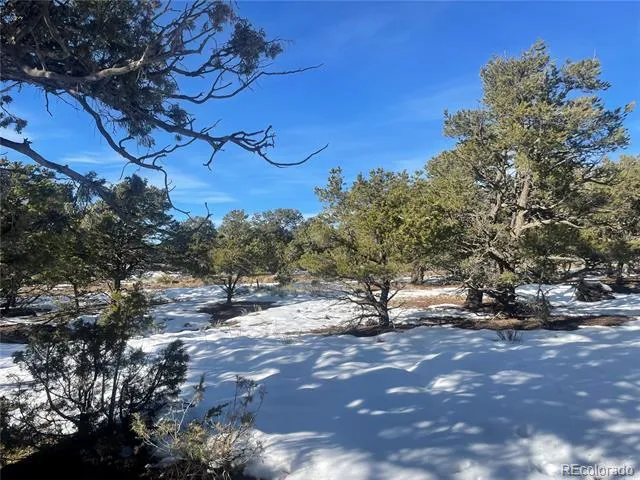 1195 Hilltop Way Crestone, CO 81131