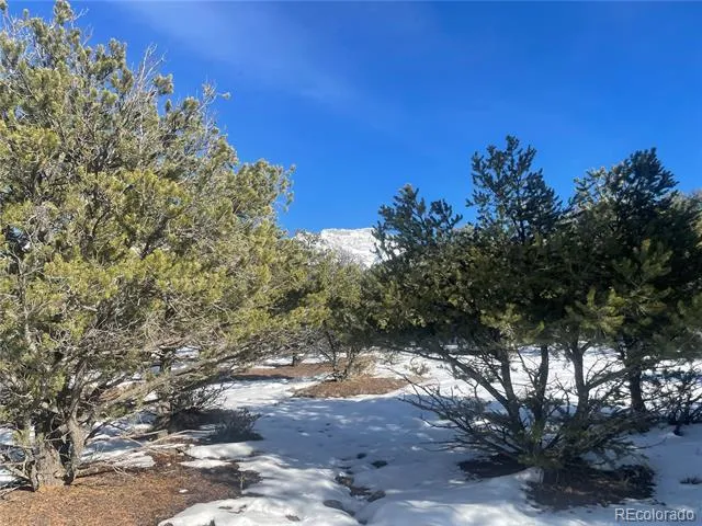 1195 Hilltop Way Crestone, CO 81131