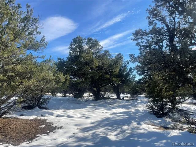 1195 Hilltop Way Crestone, CO 81131