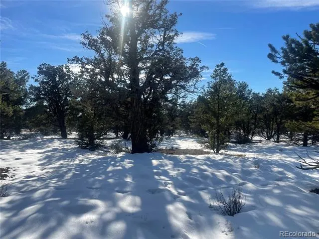 1195 Hilltop Way Crestone, CO 81131