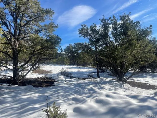 1195 Hilltop Way Crestone, CO 81131