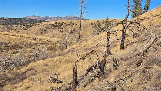 7741 Van Giesen Road Fort Garland, CO 81133