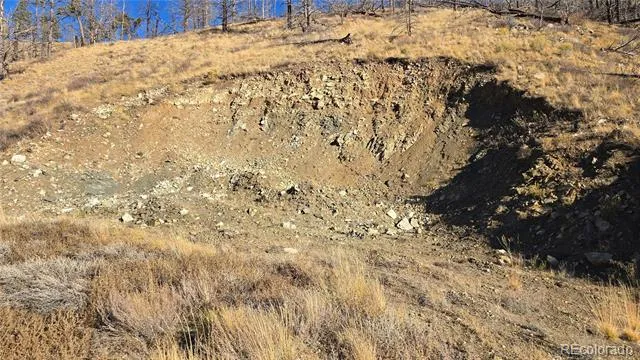 7741 Van Giesen Road Fort Garland, CO 81133