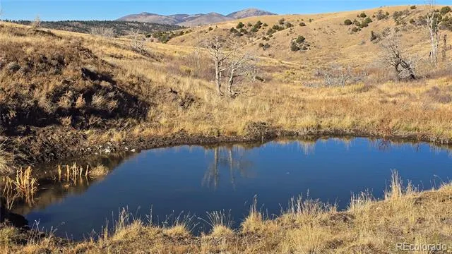 7741 Van Giesen Road Fort Garland, CO 81133
