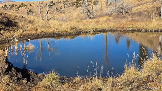 7741 Van Giesen Road Fort Garland, CO 81133