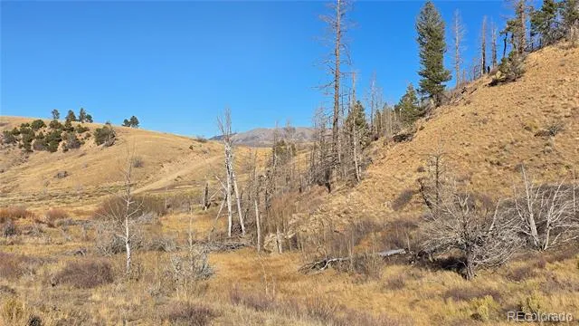 7741 Van Giesen Road Fort Garland, CO 81133