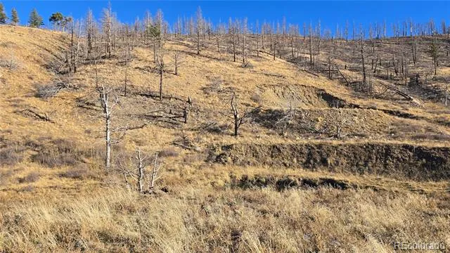 7741 Van Giesen Road Fort Garland, CO 81133