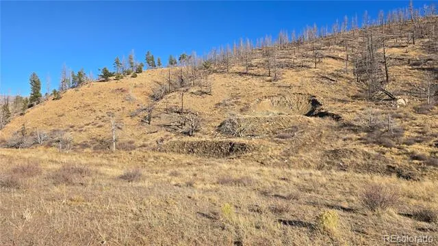 7741 Van Giesen Road Fort Garland, CO 81133