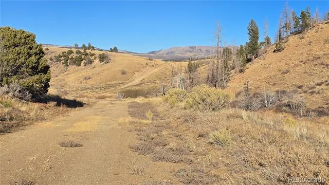 7741 Van Giesen Road Fort Garland, CO 81133