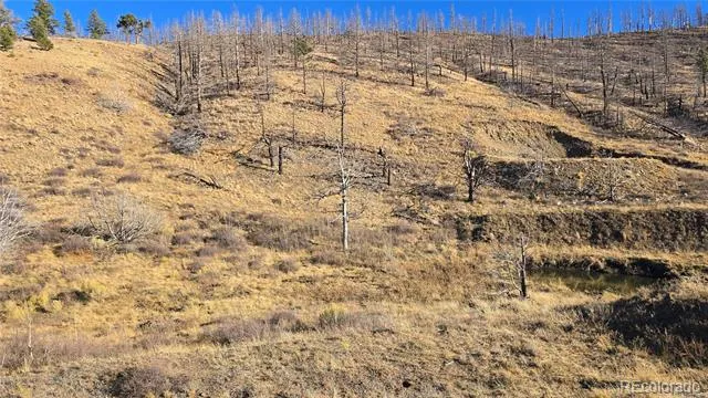 7741 Van Giesen Road Fort Garland, CO 81133