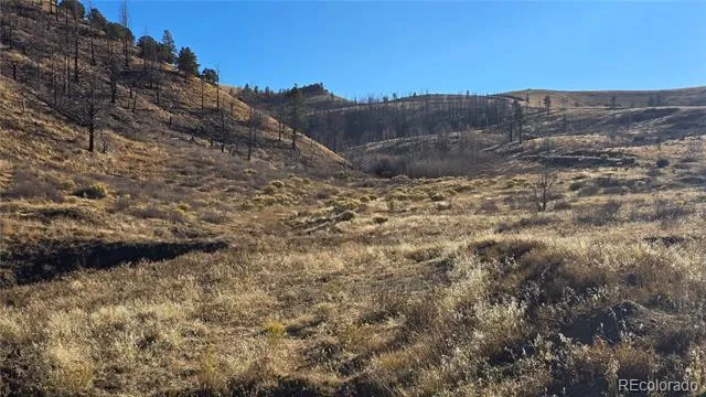 7741 Van Giesen Road Fort Garland, CO 81133