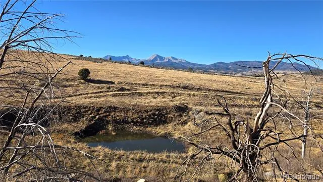 7741 Van Giesen Road Fort Garland, CO 81133