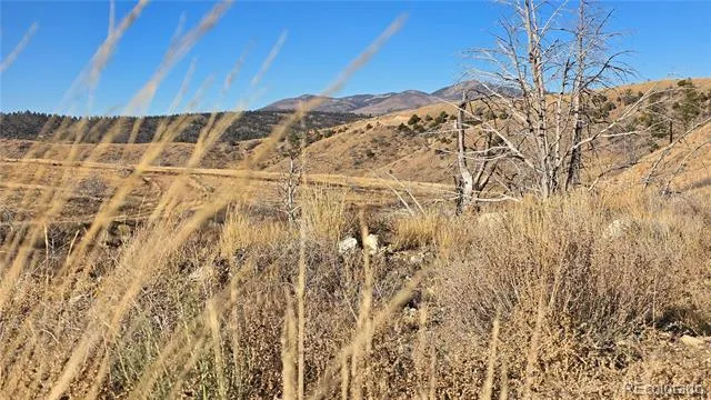 7741 Van Giesen Road Fort Garland, CO 81133