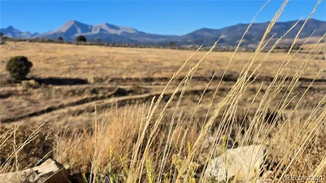 7741 Van Giesen Road Fort Garland, CO 81133