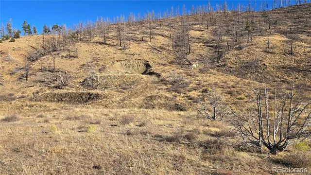 7741 Van Giesen Road Fort Garland, CO 81133