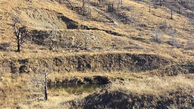 7741 Van Giesen Road Fort Garland, CO 81133
