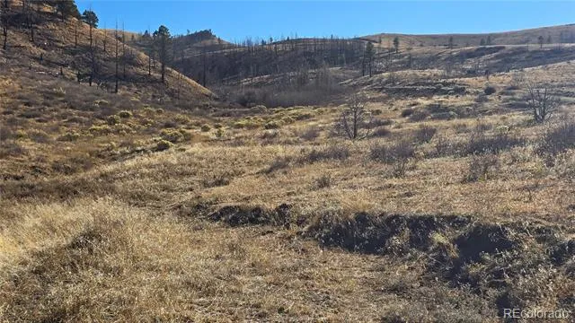 7741 Van Giesen Road Fort Garland, CO 81133