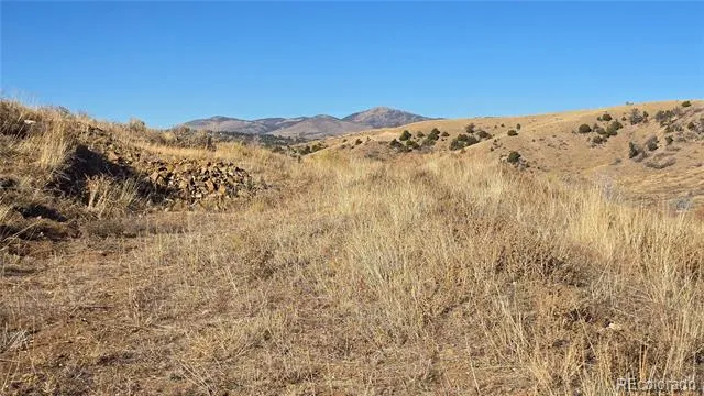 7741 Van Giesen Road Fort Garland, CO 81133