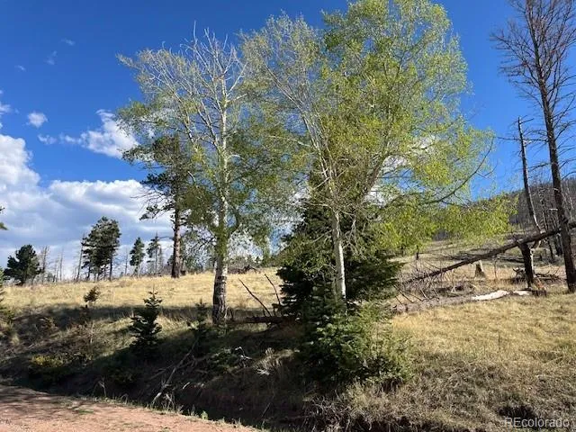 448 Wagon Mesa Loop Fort Garland, CO 81133