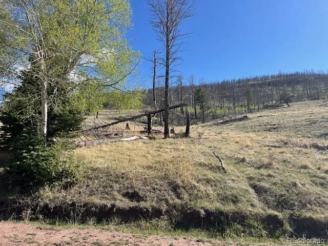 448 Wagon Mesa Loop Fort Garland, CO 81133